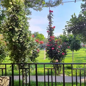 With Private Garden Shkodra